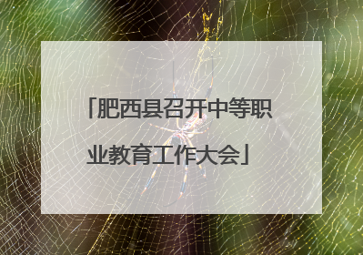 肥西县召开中等职业教育工作大会