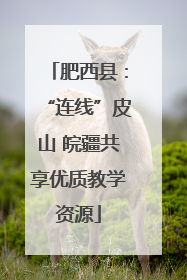 肥西县：“连线”皮山 皖疆共享优质教学资源