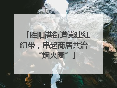胜阳港街道党建红纽带，串起商居共治 “烟火圈”