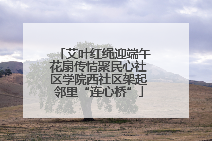 艾叶红绳迎端午花扇传情聚民心社区学院西社区架起邻里“连心桥”