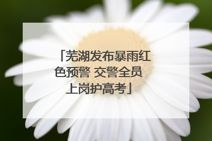 芜湖发布暴雨红色预警 交警全员上岗护高考