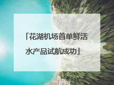 花湖机场首单鲜活水产品试航成功