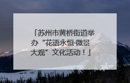 苏州市黄桥街道举办“花语永恒·微景大观”文化活动！