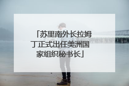 苏里南外长拉姆丁正式出任美洲国家组织秘书长