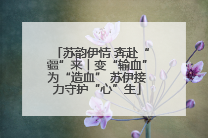 苏韵伊情 奔赴“疆”来丨变“输血”为“造血” 苏伊接力守护“心”生