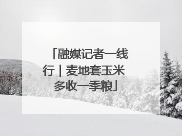 融媒记者一线行｜麦地套玉米 多收一季粮