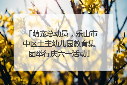 萌宠总动员，乐山市中区土主幼儿园教育集团举行庆六一活动