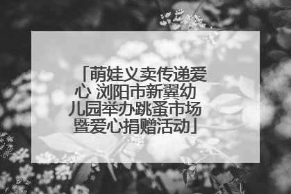 萌娃义卖传递爱心 浏阳市新翼幼儿园举办跳蚤市场暨爱心捐赠活动