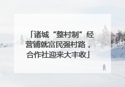 诸城“整村制”经营铺就富民强村路，合作社迎来大丰收