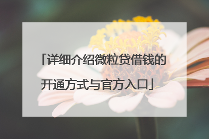 详细介绍微粒贷借钱的开通方式与官方入口