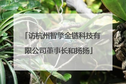 访杭州智擎金链科技有限公司董事长和扬扬