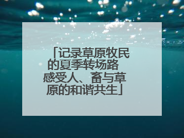 记录草原牧民的夏季转场路 感受人、畜与草原的和谐共生