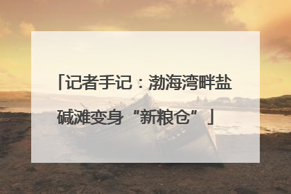 记者手记：渤海湾畔盐碱滩变身“新粮仓”