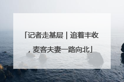 记者走基层｜追着丰收，麦客夫妻一路向北