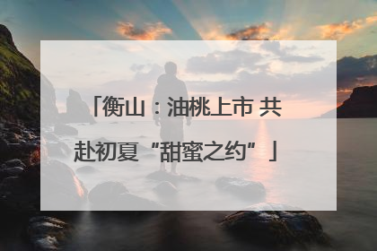 衡山：油桃上市 共赴初夏“甜蜜之约”