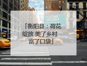 衡阳县：荷花绽放 美了乡村 富了口袋