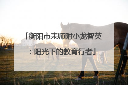 衡阳市耒师附小龙智英：阳光下的教育行者