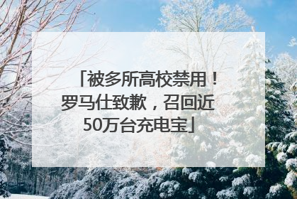 被多所高校禁用！罗马仕致歉，召回近50万台充电宝