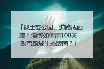 裸土变公园、道路成画廊！淄博如何用100天改写路域生态版图？