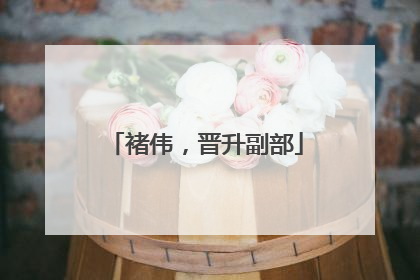 褚伟，晋升副部