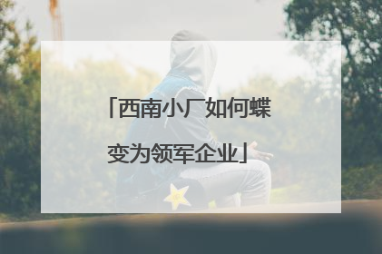 西南小厂如何蝶变为领军企业