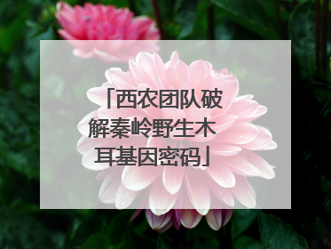 西农团队破解秦岭野生木耳基因密码
