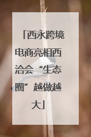 西永跨境电商亮相西洽会“生态圈”越做越大