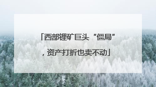 西部锂矿巨头“僵局”，资产打折也卖不动