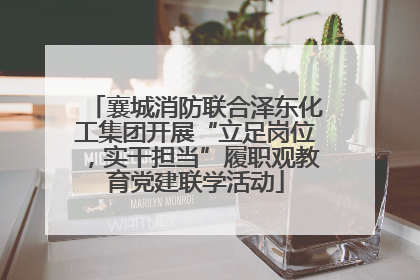 襄城消防联合泽东化工集团开展“立足岗位，实干担当”履职观教育党建联学活动