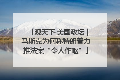 观天下·美国政坛｜马斯克为何称特朗普力推法案“令人作呕”