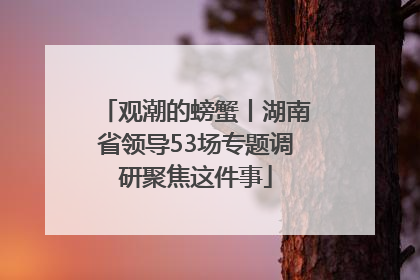 观潮的螃蟹丨湖南省领导53场专题调研聚焦这件事