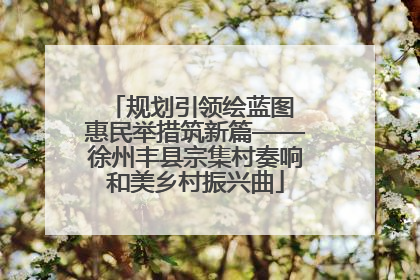 规划引领绘蓝图 惠民举措筑新篇——徐州丰县宗集村奏响和美乡村振兴曲