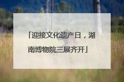 迎接文化遗产日，湖南博物院三展齐开