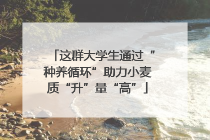 这群大学生通过“种养循环”助力小麦质“升”量“高”