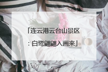 连云港云台山景区：白鹭翩翩入画来