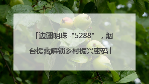 边疆明珠“5288”，烟台援藏解锁乡村振兴密码