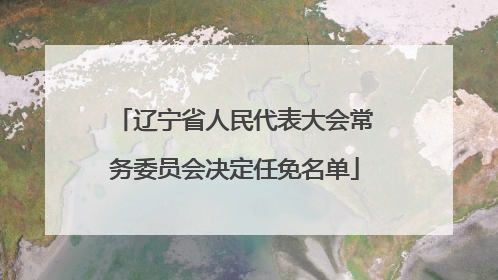辽宁省人民代表大会常务委员会决定任免名单