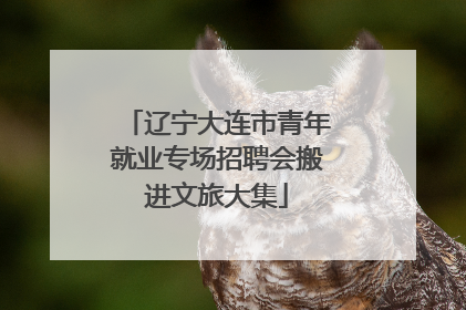 辽宁大连市青年就业专场招聘会搬进文旅大集