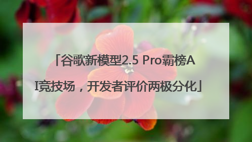 谷歌新模型2.5 Pro霸榜AI竞技场，开发者评价两极分化