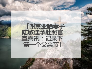 谢震业晒妻子陆敏佳孕肚照官宣喜讯：记录下第一个父亲节