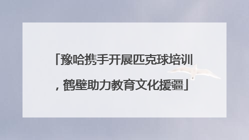 豫哈携手开展匹克球培训，鹤壁助力教育文化援疆