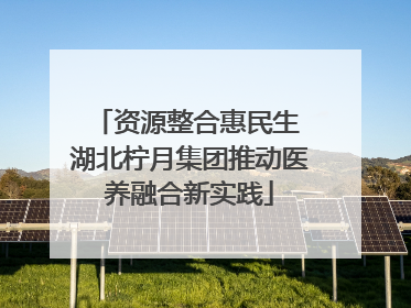 资源整合惠民生 湖北柠月集团推动医养融合新实践