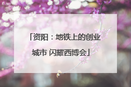 资阳：地铁上的创业城市 闪耀西博会