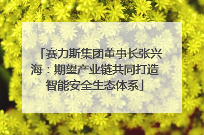 赛力斯集团董事长张兴海：期望产业链共同打造智能安全生态体系