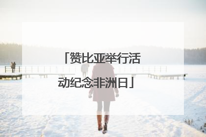 赞比亚举行活动纪念非洲日