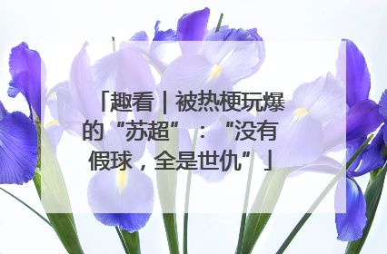趣看｜被热梗玩爆的“苏超”：“没有假球，全是世仇”