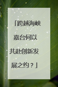 跨越海峡 嘉台何以共赴创新发展之约？