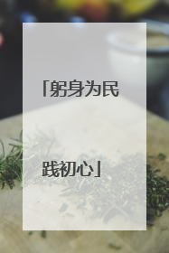 躬身为民践初心
