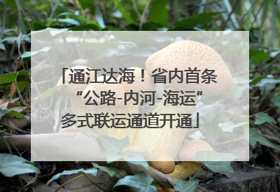 通江达海！省内首条“公路-内河-海运”多式联运通道开通