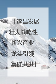 遂昌发展壮大战略性新兴产业 龙头引领 集群共进